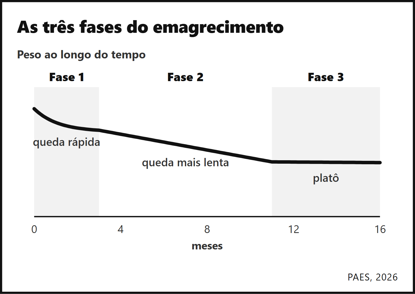 Curva do peso em três fases, com escala de tempo ilustrativa: Queda rápida, queda mais lenta e platô