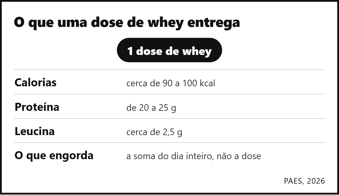 Lista intitulada O que uma dose de whey entrega, com quatro linhas: Cerca de 90 a 100 kcal, de 20 a 25 g de proteína, cerca de 2,5 g de leucina e a lembrança de que o que engorda é a soma do dia inteiro